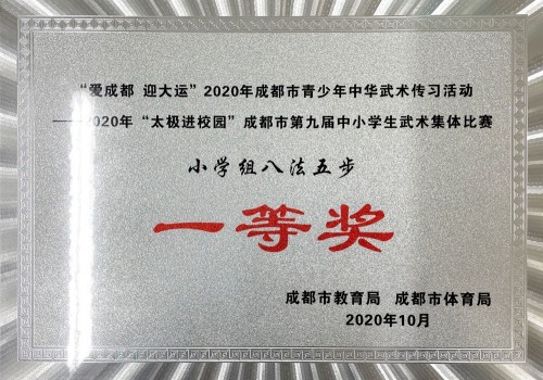 成都市第九屆中小學生武術集體比賽一等獎